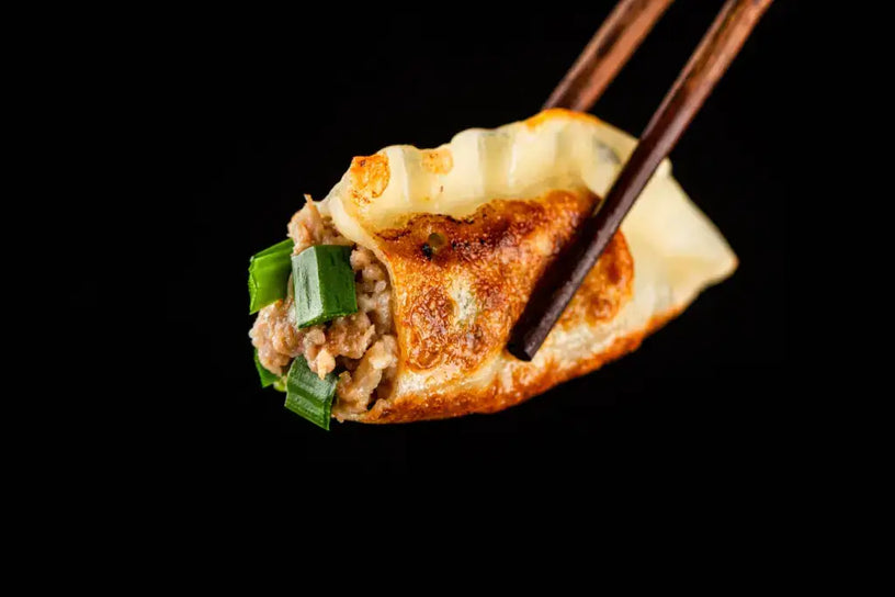 Gyoza: The Delicious History of Japan’s Favorite Dumpling!