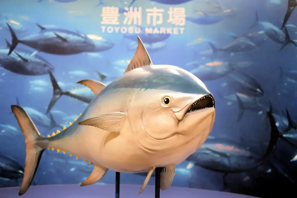Toyosu Fish Market: $3.2 Million for One Fish!
