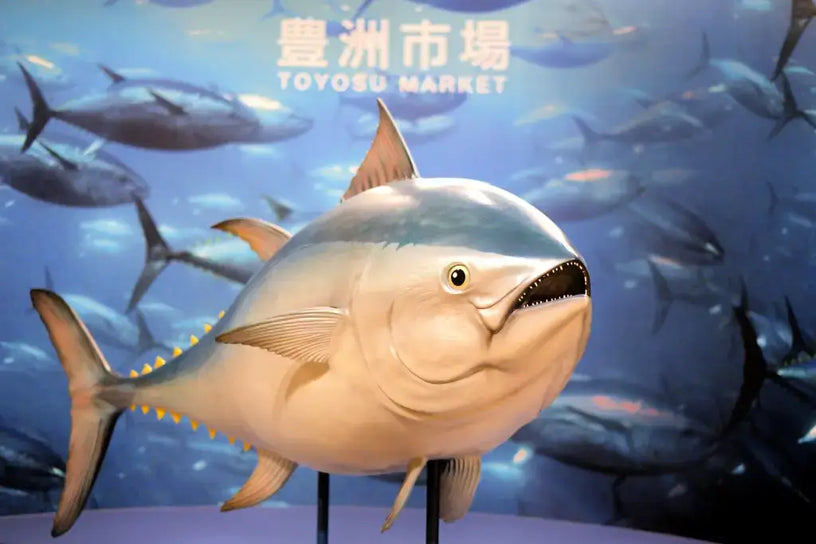 Toyosu Fish Market: $3.2 Million for One Fish!