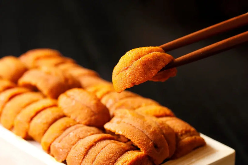 Sea Urchin Revealed: What Makes It So Special?